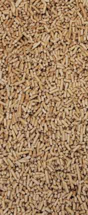 Pellets Close Up
